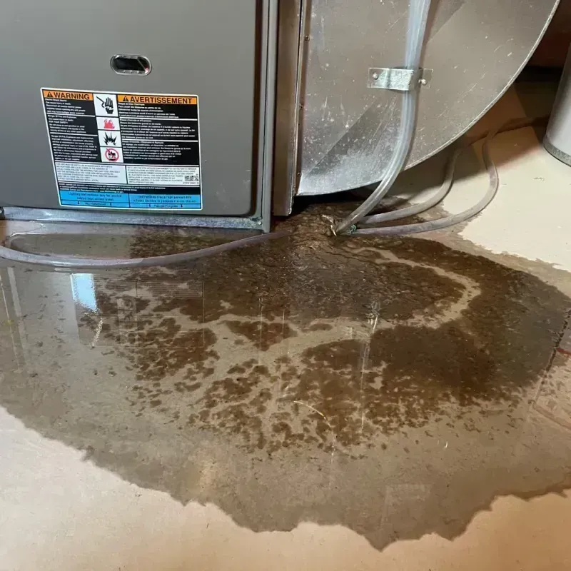 Appliance Leak Cleanup in Naperville, IL